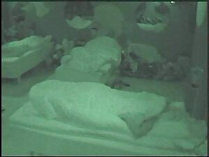 尻ピアスオンコックとともに大きな雄鶏 ユ ...